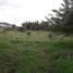  Land for sale in Manizales, Caldas, Manizales