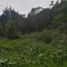  Terreno (Parcela) en venta en Guarne, Antioquia, Guarne, Antioquia
