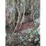 Terreno (Parcela) en venta en Guarne, Antioquia, Guarne, Antioquia