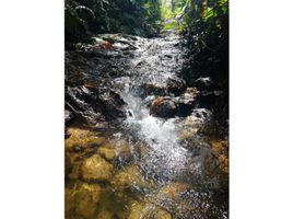  Terreno (Parcela) en venta en Guarne, Antioquia, Guarne, Antioquia