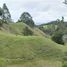 Grundstück zu verkaufen in La Ceja, Antioquia, La Ceja, Antioquia, Kolumbien