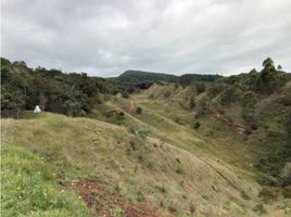  Terreno (Parcela) en venta en La Ceja, Antioquia, La Ceja, Antioquia, Colombia