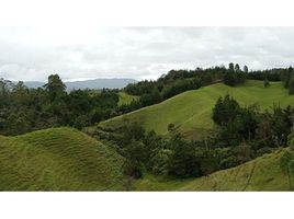  Terreno (Parcela) en venta en La Ceja, Antioquia, La Ceja, Antioquia, Colombia