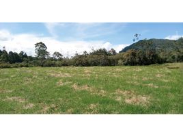  Grundstück zu verkaufen in La Ceja, Antioquia, La Ceja, Antioquia