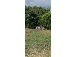  Grundstück zu verkaufen in Santa Rosa De Cabal, Risaralda, Santa Rosa De Cabal