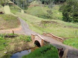  Grundstück zu verkaufen in La Ceja, Antioquia, La Ceja