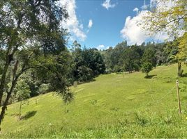  Grundstück zu verkaufen in Retiro, Antioquia, Retiro, Antioquia, Kolumbien