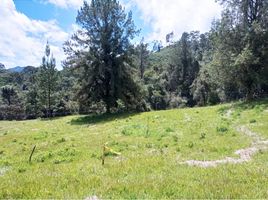  Grundstück zu verkaufen in Retiro, Antioquia, Retiro