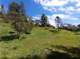 Grundstück zu verkaufen in Retiro, Antioquia, Retiro