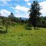 Terrain à vendre à Retiro, Antioquia, Retiro, Antioquia, Colombie