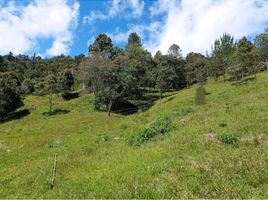  Grundstück zu verkaufen in Retiro, Antioquia, Retiro