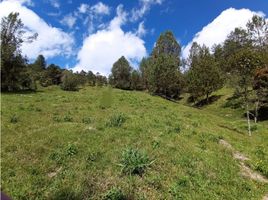  Grundstück zu verkaufen in Retiro, Antioquia, Retiro
