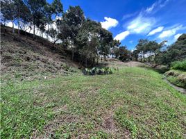  Land for sale in El Carmen De Viboral, Antioquia, El Carmen De Viboral