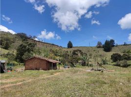  Terreno (Parcela) en venta en Girardota, Antioquia, Girardota