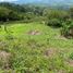  Land for sale in Manizales, Caldas, Manizales