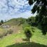  Land for sale in Manizales, Caldas, Manizales