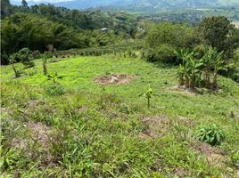  Land for sale in Manizales, Caldas, Manizales