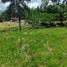  Land for sale in Manizales, Caldas, Manizales