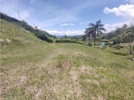  Land for sale in Manizales, Caldas, Manizales