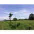 Studio House for sale in Monteria, Cordoba, Monteria, Cordoba