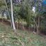  Land for sale in Santander, Piedecuesta, Santander