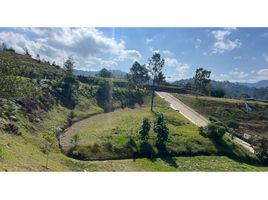  Terreno (Parcela) en venta en Cocorna, Antioquia, Cocorna