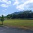  Land for sale in Magdalena, Santa Marta, Magdalena