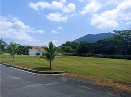  Land for sale in Magdalena, Santa Marta, Magdalena