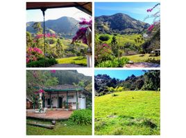 3 Habitación Casa en venta en Abejorral, Antioquia, Abejorral