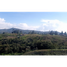 Land for sale in Guarne, Antioquia, Guarne, Antioquia, Colombia