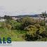  Land for sale in Marinilla, Antioquia, Marinilla