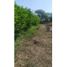  Land for sale in Cartagena, Bolivar, Cartagena, Bolivar