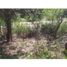  Land for sale in Cartagena, Bolivar, Cartagena, Bolivar