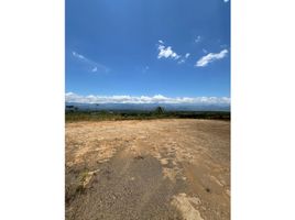  Terreno (Parcela) en venta en Dosquebradas, Risaralda, Dosquebradas