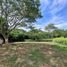  Land for sale in Cartago, Valle Del Cauca, Cartago