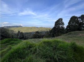  Terreno (Parcela) en venta en Antioquia, Rionegro, Antioquia