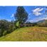  Land for sale in El Carmen De Viboral, Antioquia, El Carmen De Viboral