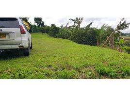  Land for sale in Pereira, Risaralda, Pereira