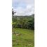  Land for sale in Pereira, Risaralda, Pereira