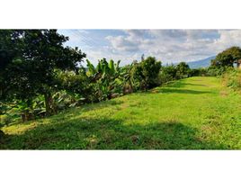  Land for sale in Pereira, Risaralda, Pereira