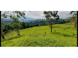  Land for sale in Pereira, Risaralda, Pereira