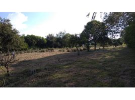  Land for sale in Colombia, Huila, Colombia