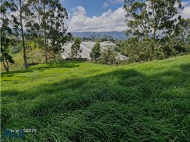  Terreno (Parcela) en venta en Marinilla, Antioquia, Marinilla