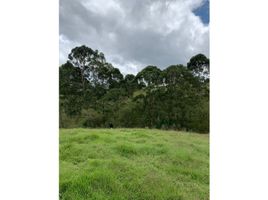  Land for sale in El Carmen De Viboral, Antioquia, El Carmen De Viboral