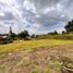  Land for sale in El Carmen De Viboral, Antioquia, El Carmen De Viboral