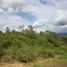  Land for sale in Manizales, Caldas, Manizales