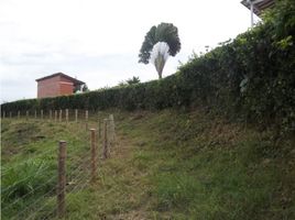  Land for sale in Manizales, Caldas, Manizales