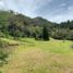  Terreno (Parcela) en venta en La Ceja, Antioquia, La Ceja, Antioquia