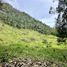  Terrain for sale in Rionegro, Antioquia, Rionegro