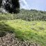  Land for sale in Rionegro, Antioquia, Rionegro